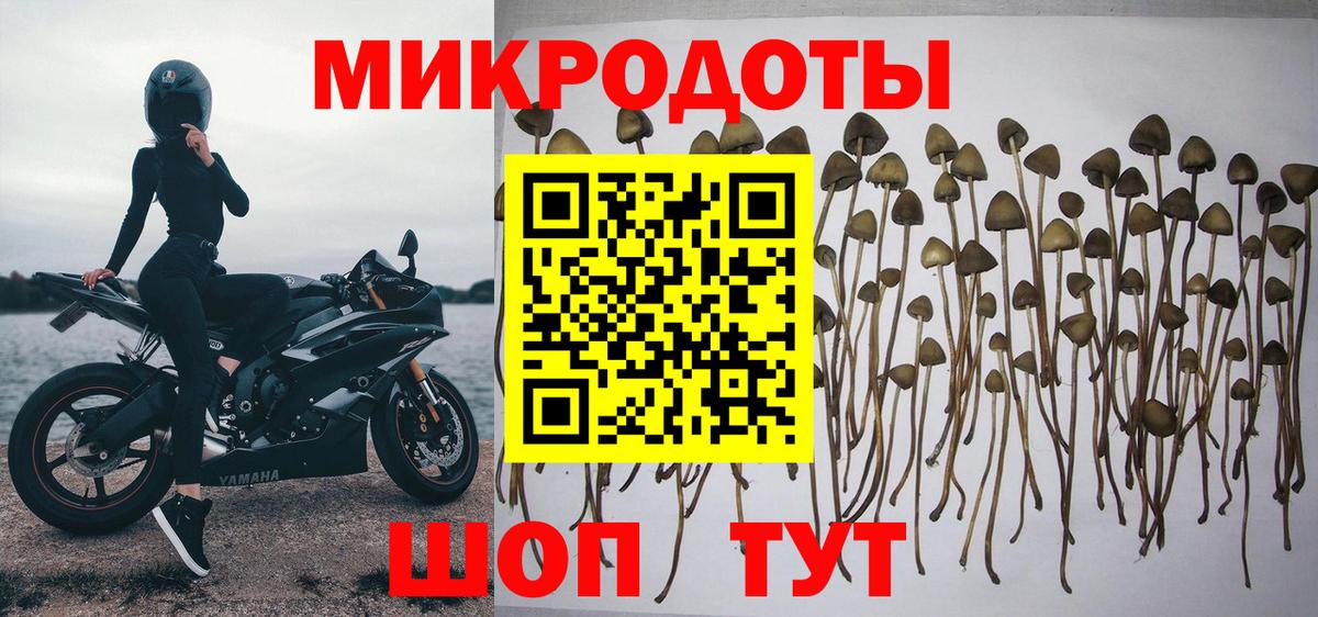 Псилоцибиновые грибы GOLDEN TEACHER Туймазы