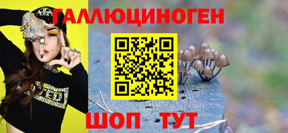 Псилоцибиновые грибы MAGIC MUSHROOMS  Псилоцибиновые грибы мицелий  Туймазы  Вход с VPN 